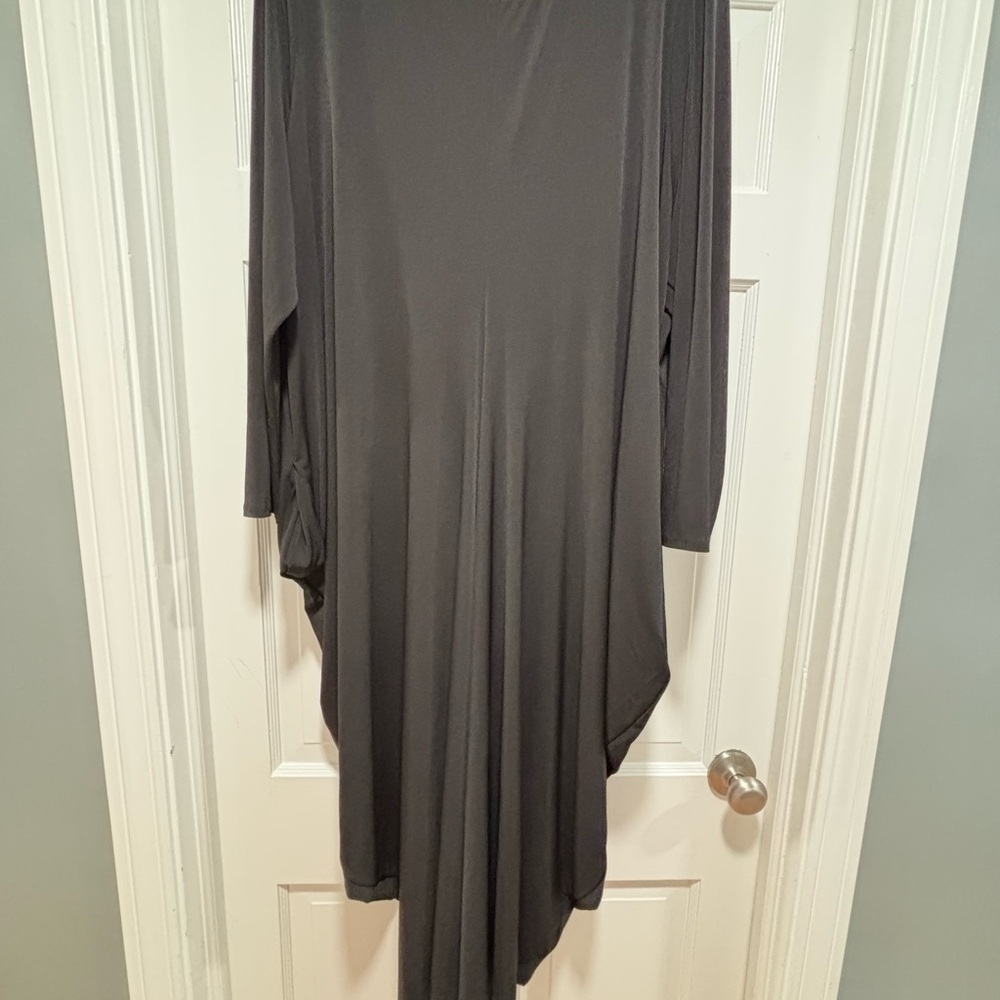 Elegant Black draped Side Long Sleeve Dress